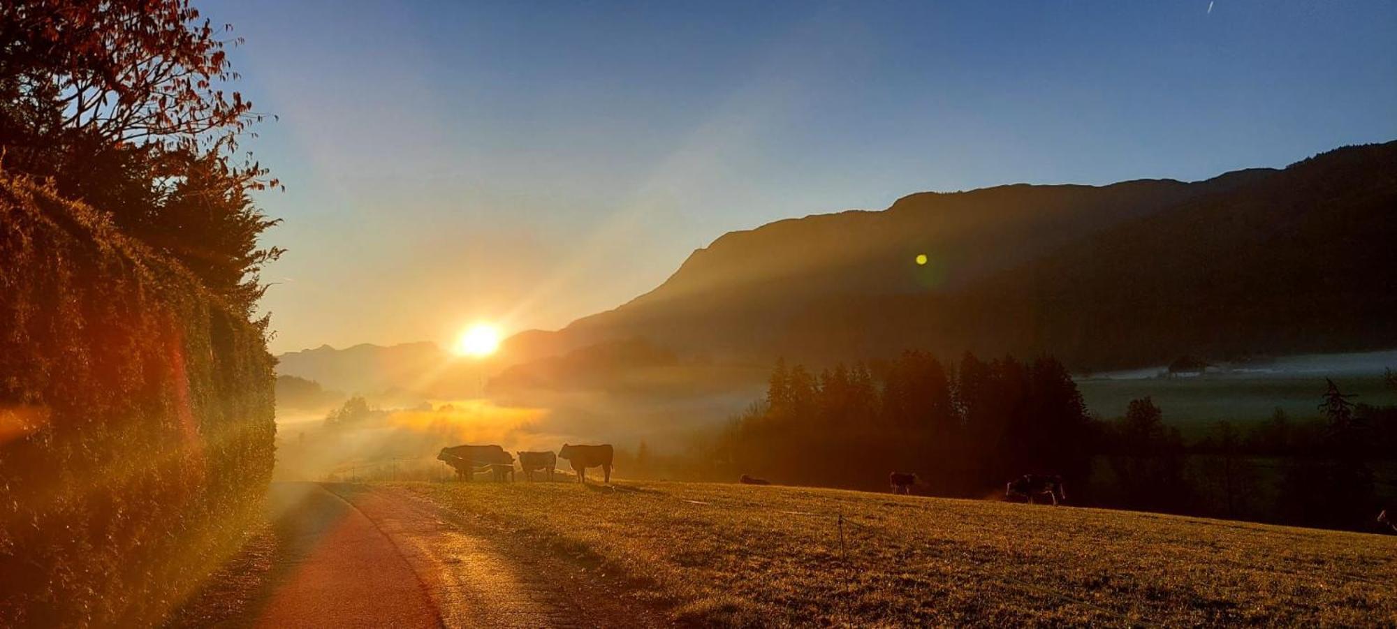 Weinbachbauer - Urlaub Am Bauernhof Sankt Wolfgang im Salzkammergut Exterior foto