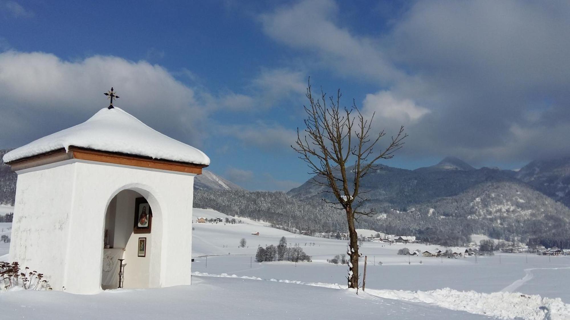 Weinbachbauer - Urlaub Am Bauernhof Sankt Wolfgang im Salzkammergut Exterior foto