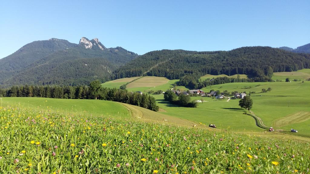 Weinbachbauer - Urlaub Am Bauernhof Sankt Wolfgang im Salzkammergut Exterior foto